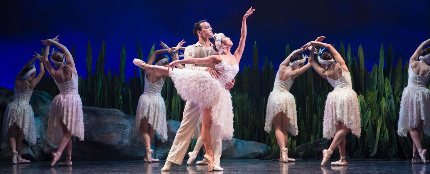 Anthony falls in love with the swan, Odette