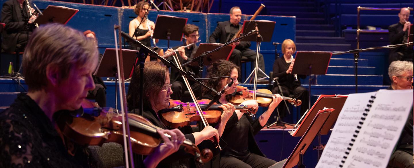 The Sinfonia performing at Leeds Town Hall, photo Amy Kelly