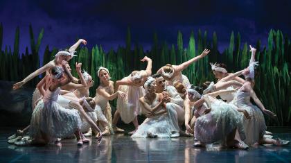 The swans gather around Anthony and Odette in the lake