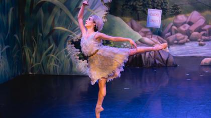 A dancer dressed in a grey dress in a ballet pose