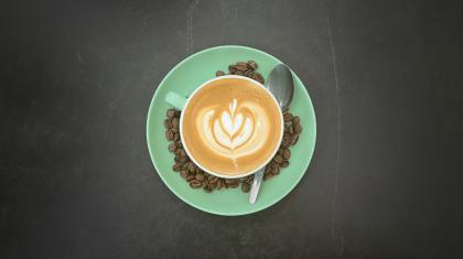 View of a cup of coffee with frothed milk in a fern from above